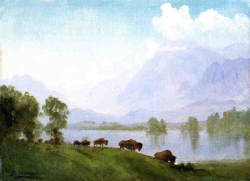 Albert Bierstadt Buffalo Country oil painting image